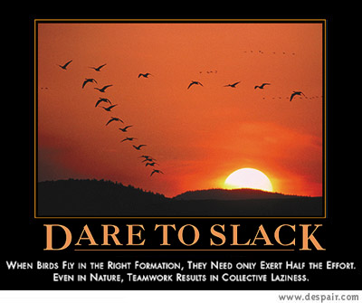 dare to slack