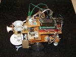 Ant Robot