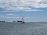 IMG_3009.jpg