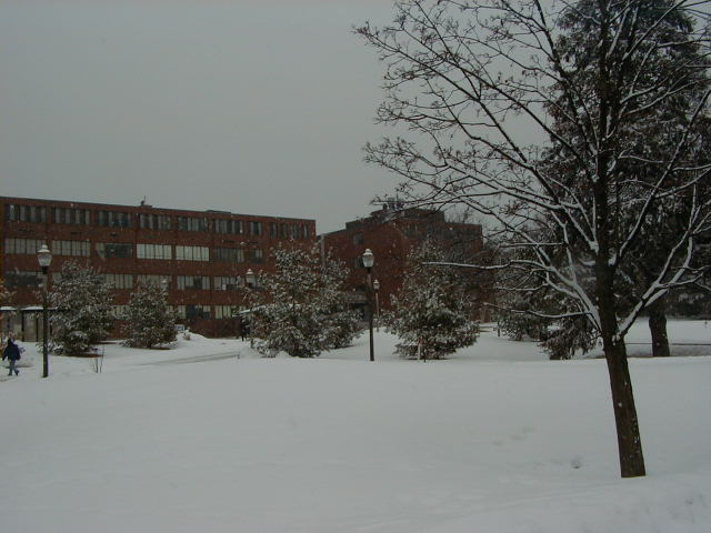 umass05.jpg