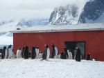 Palmer Station, Antarctica 2007-2008