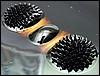 dipballs2440.jpg